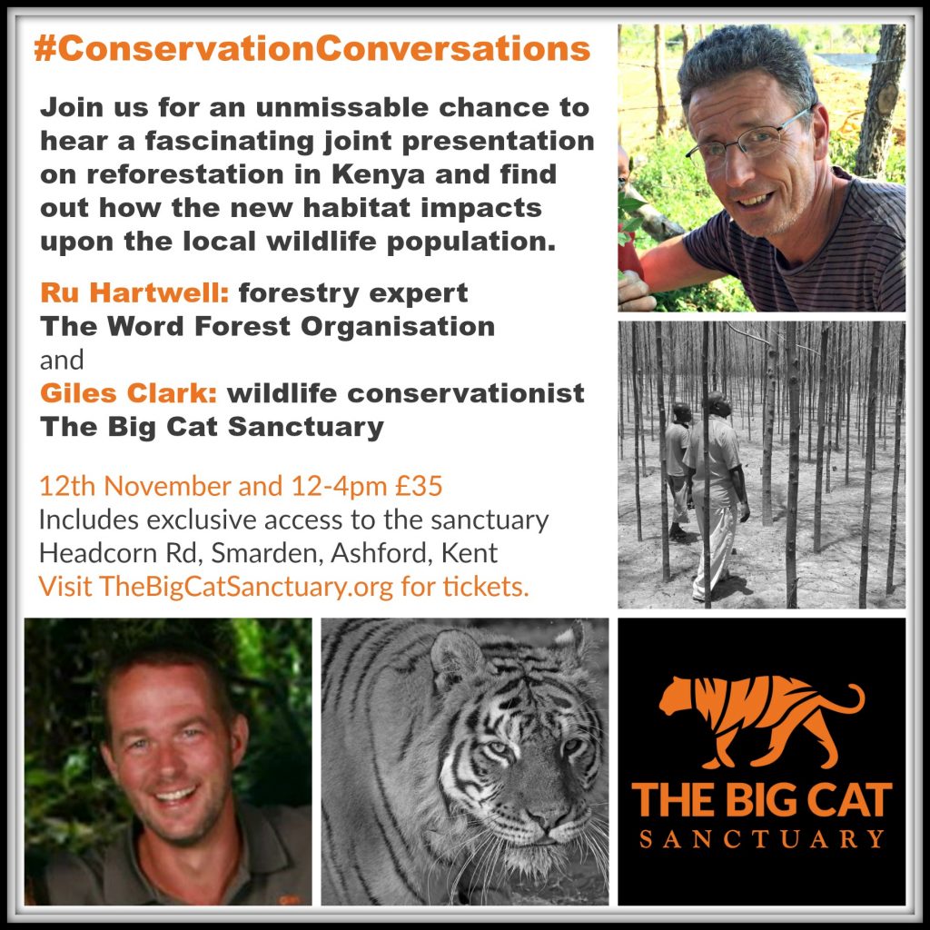 Big Cat and Reforestation Talk Poster