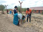 Building a fence to protect a new permaculture garden