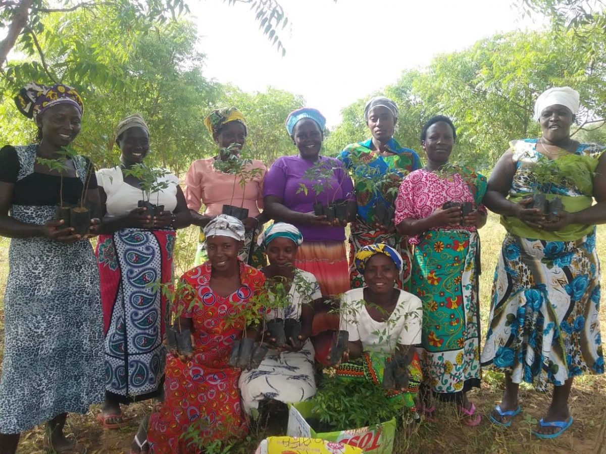 Trees being planted by Mothers of the Forest