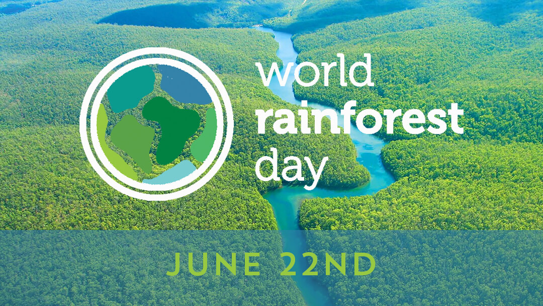 World Rainforest Day 2020 - Word Forest