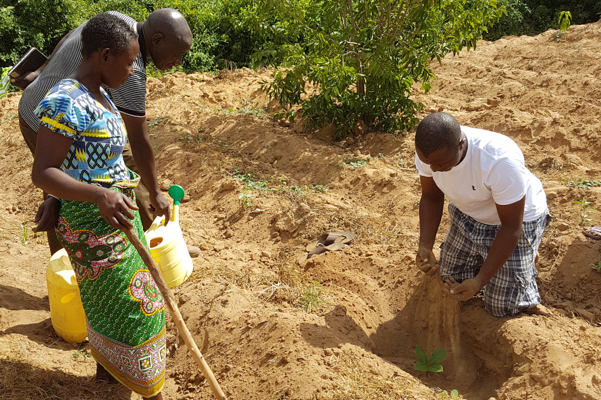 Tree planting in Kenya