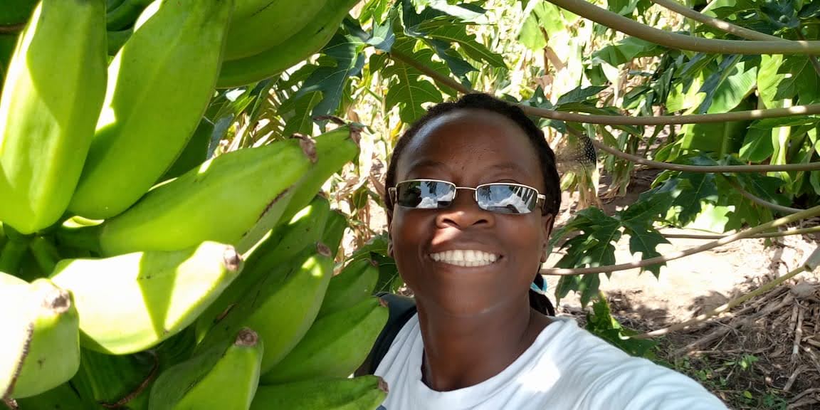 Eva and the banana harvest