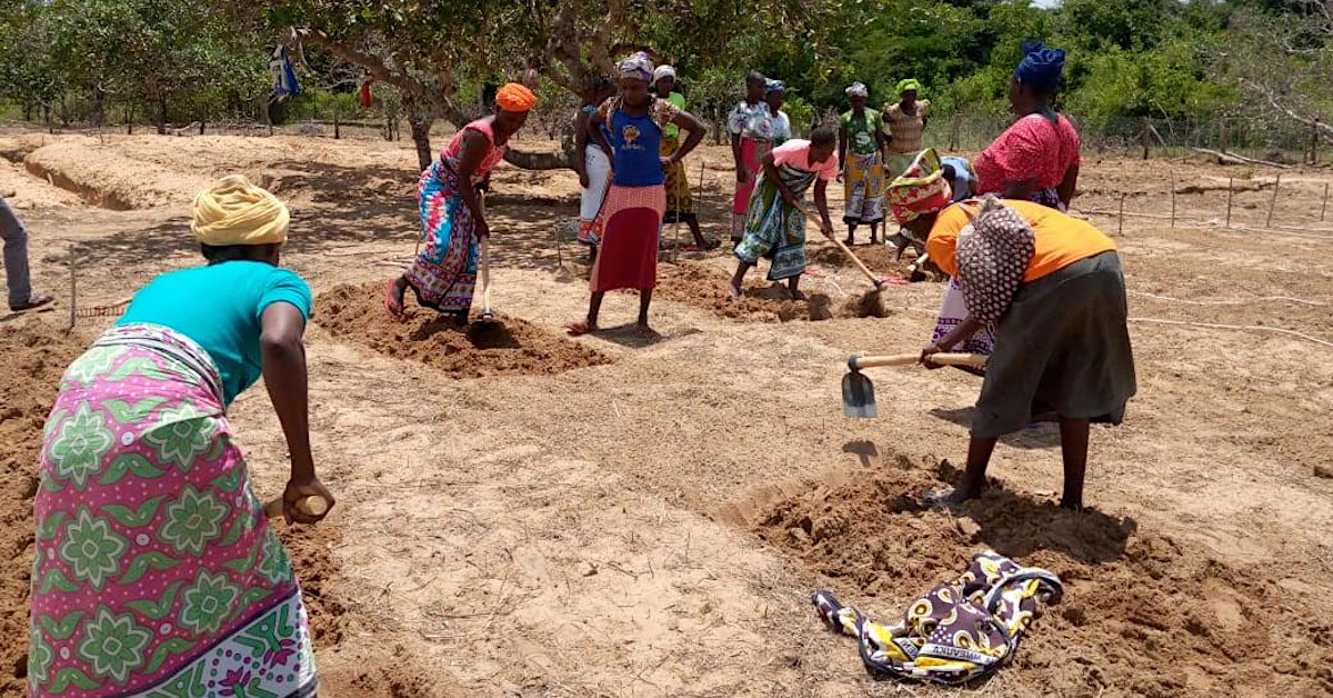 Mothers of the Forest preparing a permaculture food forest