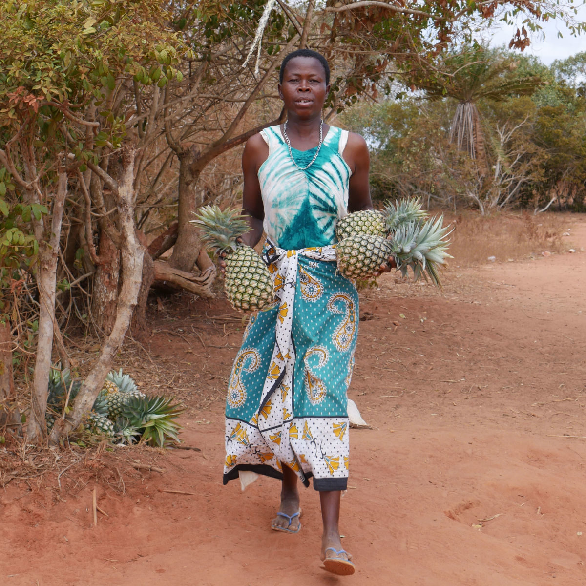 Woman carrying pineapples to sell