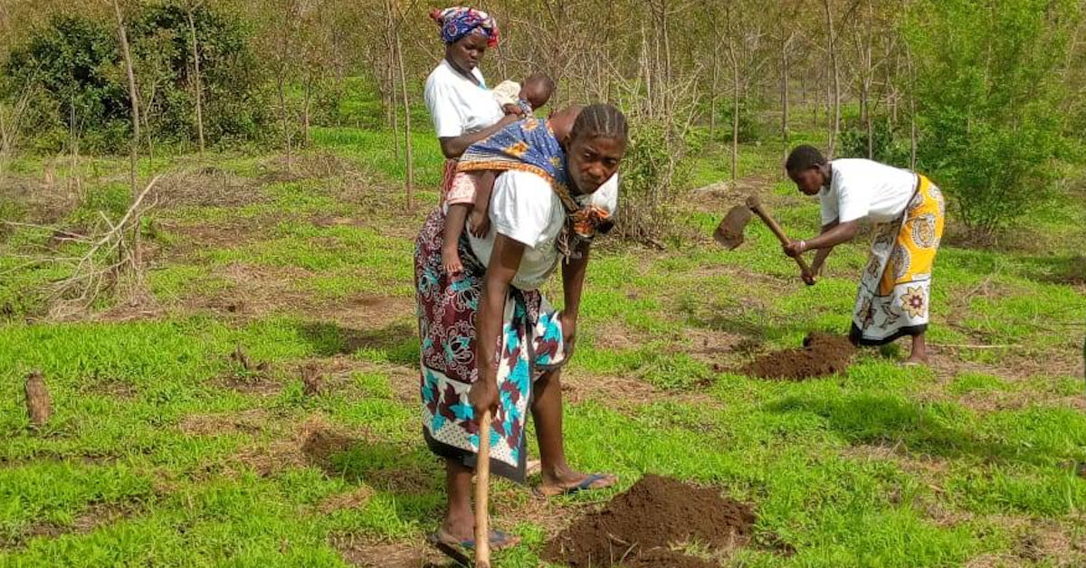 Women digging to plant trees