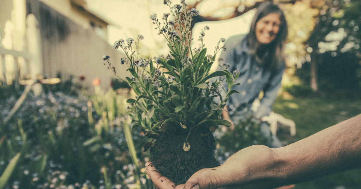 Hand holding showing a plant to a smiling woman