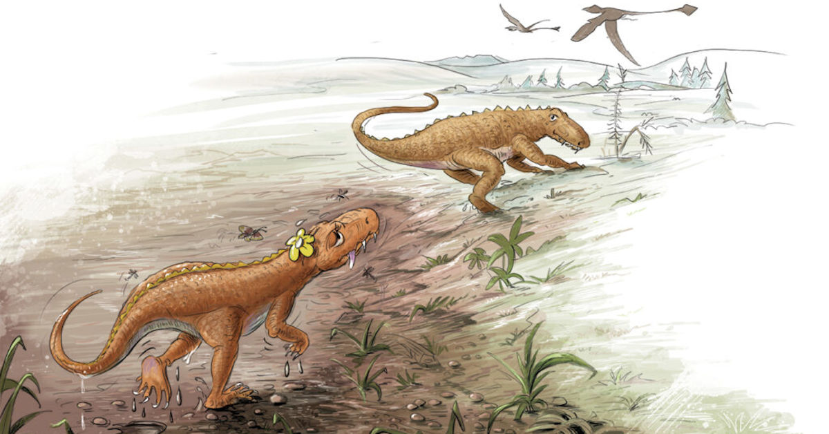 Two Rausacian Dinosaurs from Rosa's Footprint