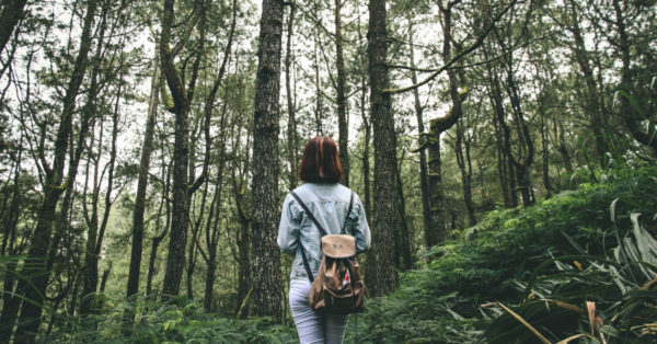 Woman walking in a forest. Image: IB Wira Dyatmika on Unsplash