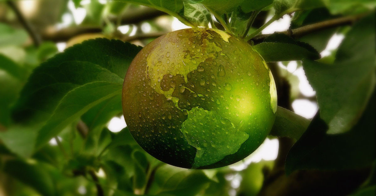 Earth as an apple on a branch