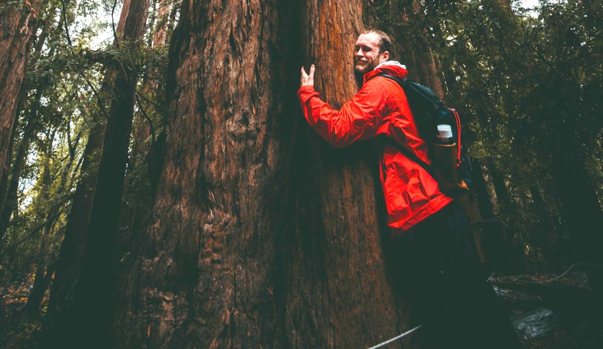 Man hugging tree image by KAL VISUALS on Unsplash