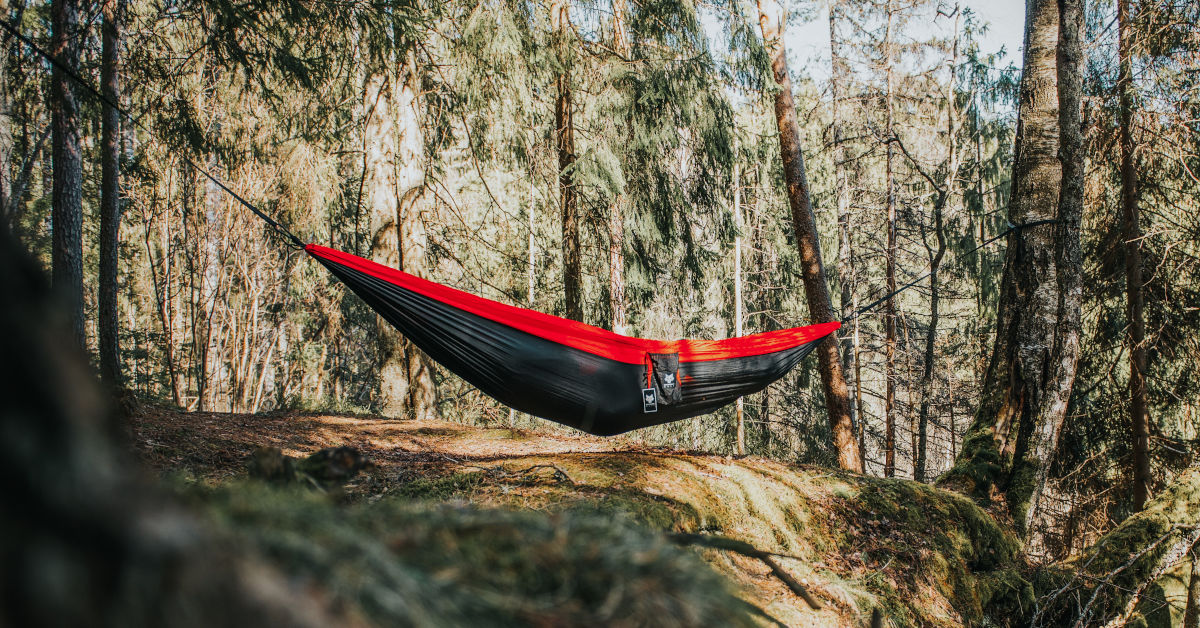 Hammock in the forest by independentwolf from Pixabay