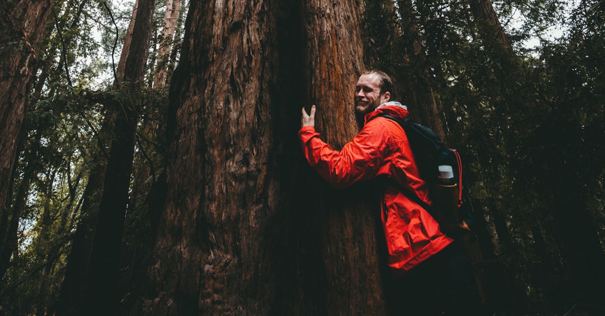 Man hugging a tree in the forest by Kal Visuals on Unsplash