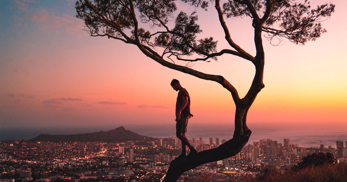 Man standing on a tree branch by Lukas Rodriguez from Pexels