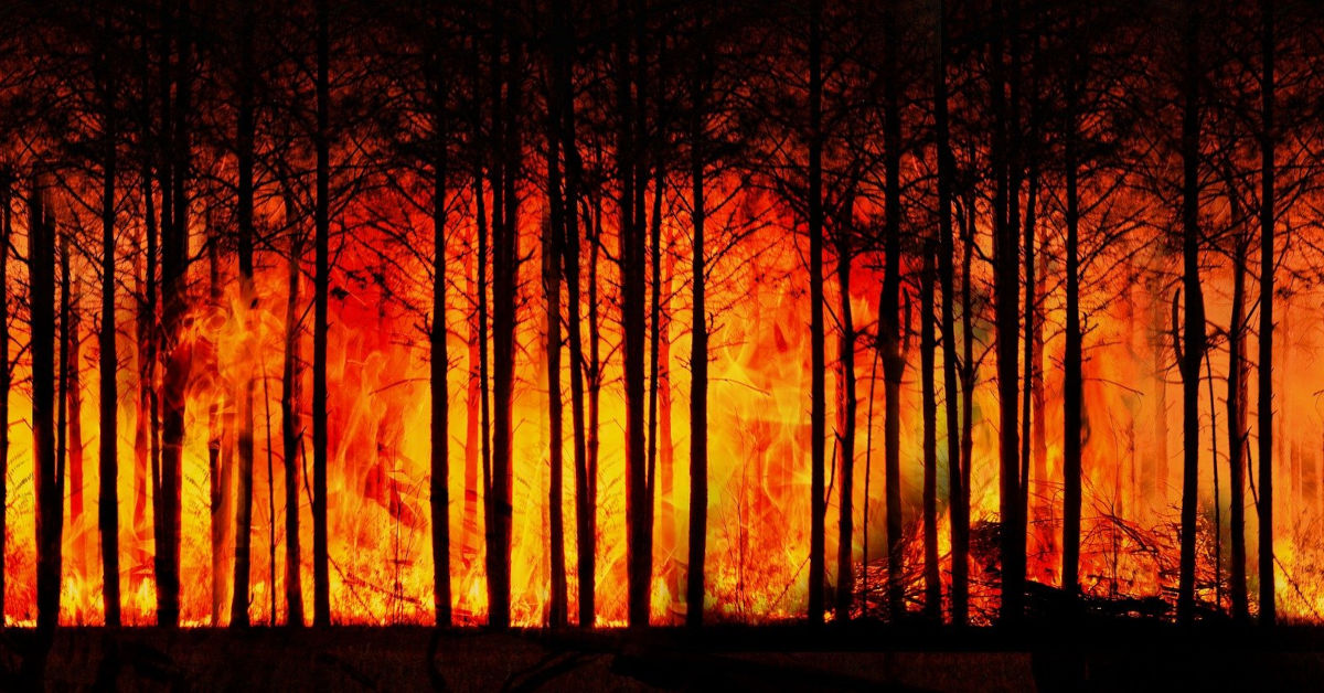 Forest fire by Gerd Altmann from Pixabay