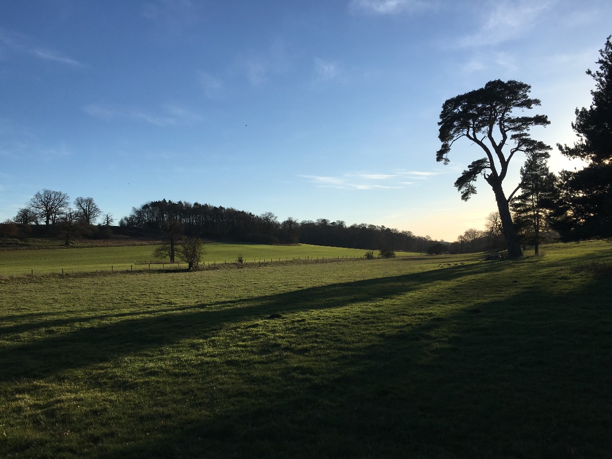 The Ickworth Estate by Karen Cannard