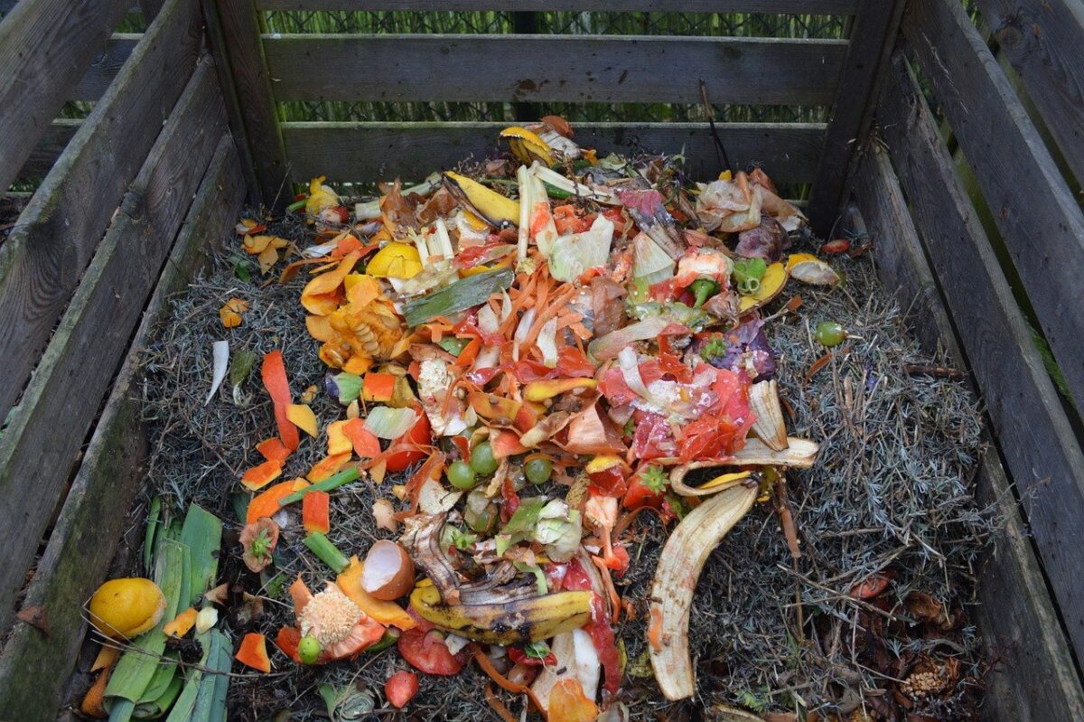 Compost bin by Ben Kerckx on Pixabay