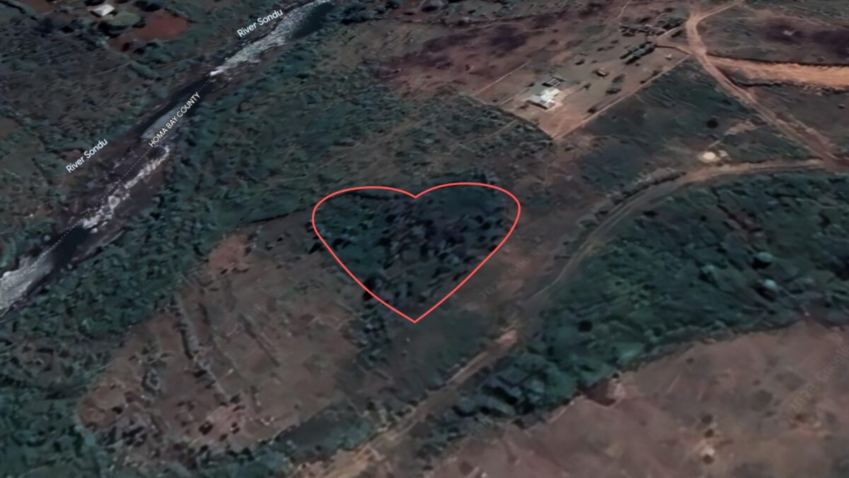 Polly Higgins Memorial Forest, visible on Google Earth in 2023