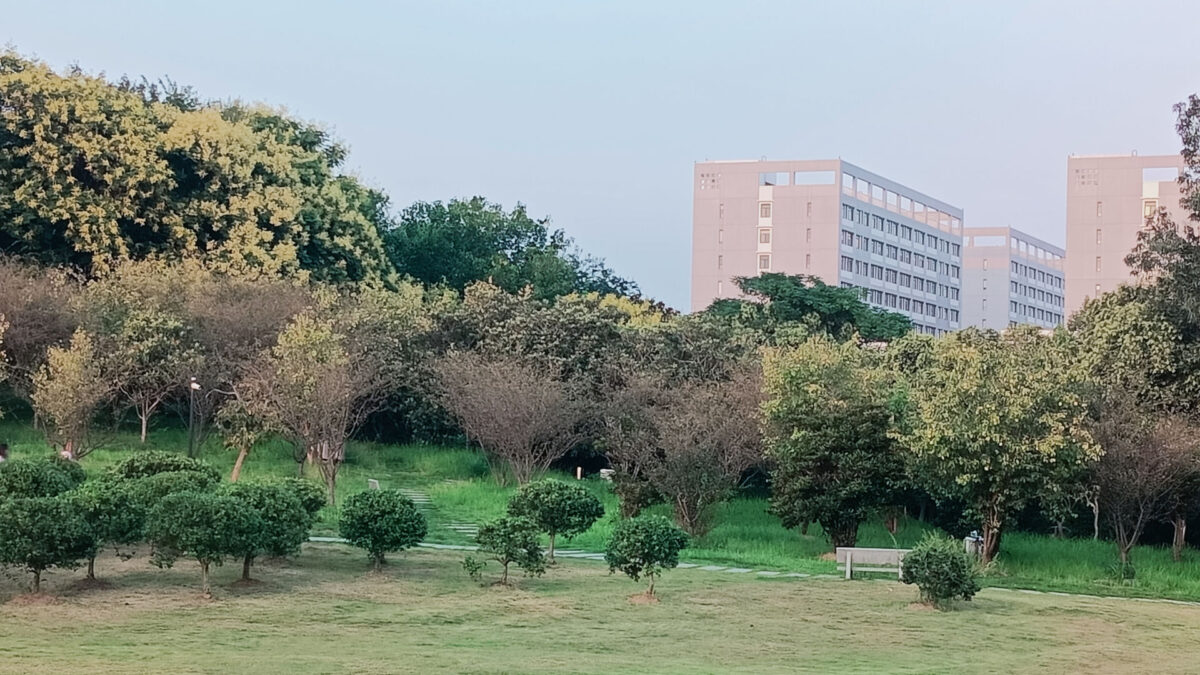 A heavily wooded area near blocks of flats in China