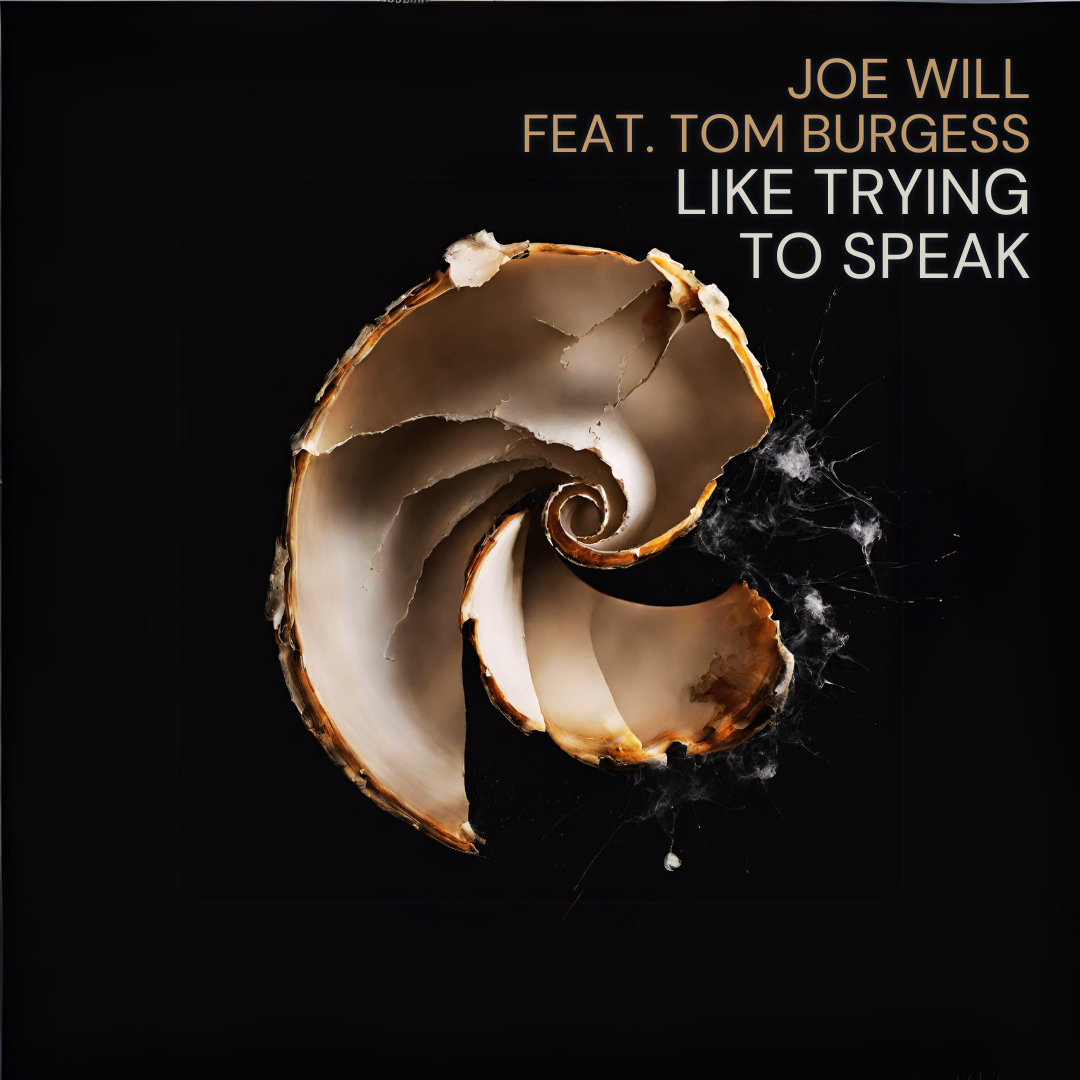 Like Trying To Speak - Joe Will ft Tom Burgess Album Cover