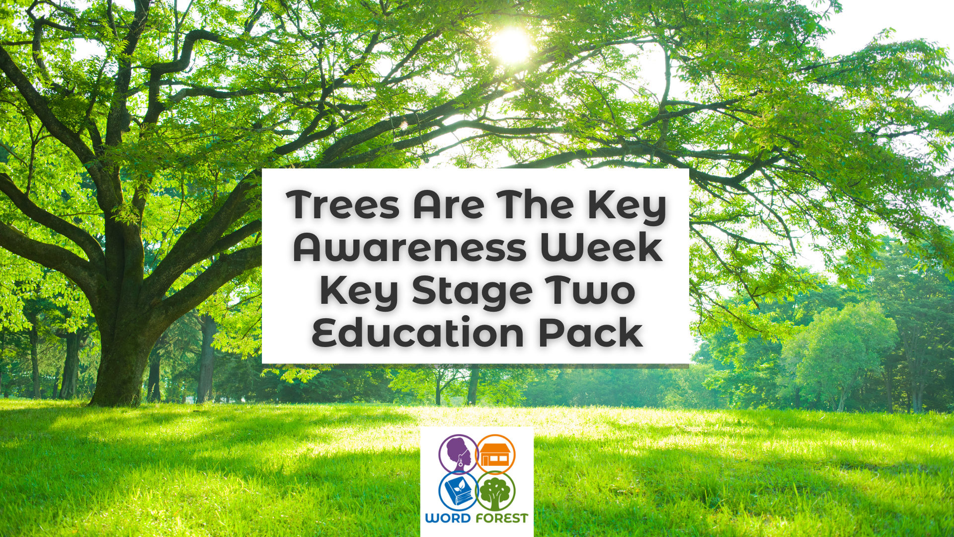 Trees Are The Key Awareness Week Key Stage Two Education Pack