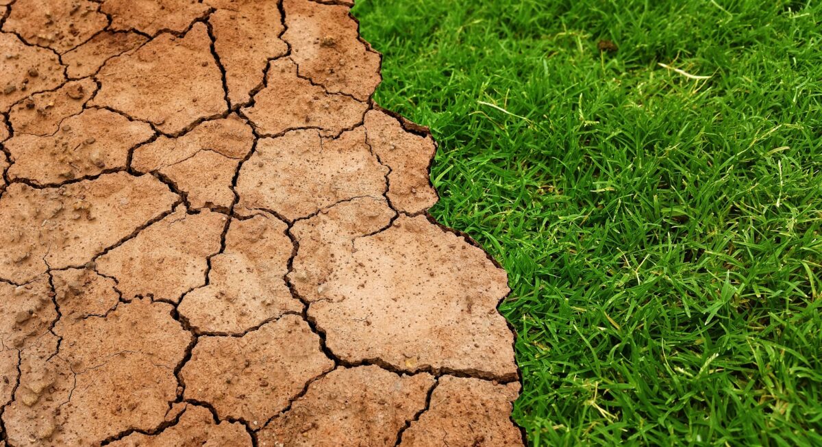 Image showing drought by Tumisu from Pixabay