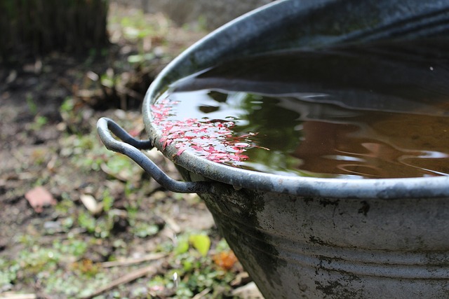 rainwater in bucket by MrsBella on Pixabay