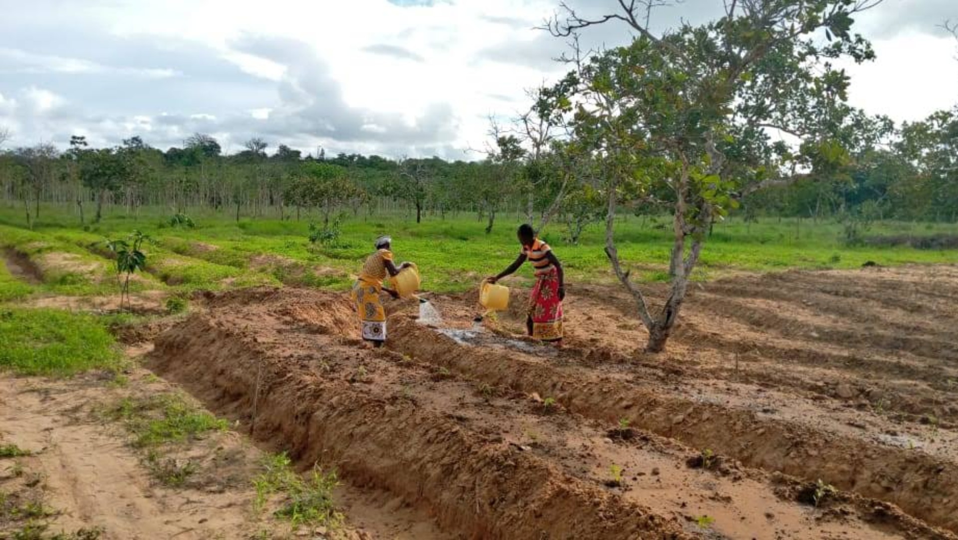 Kenyan women working on a permaculture garden