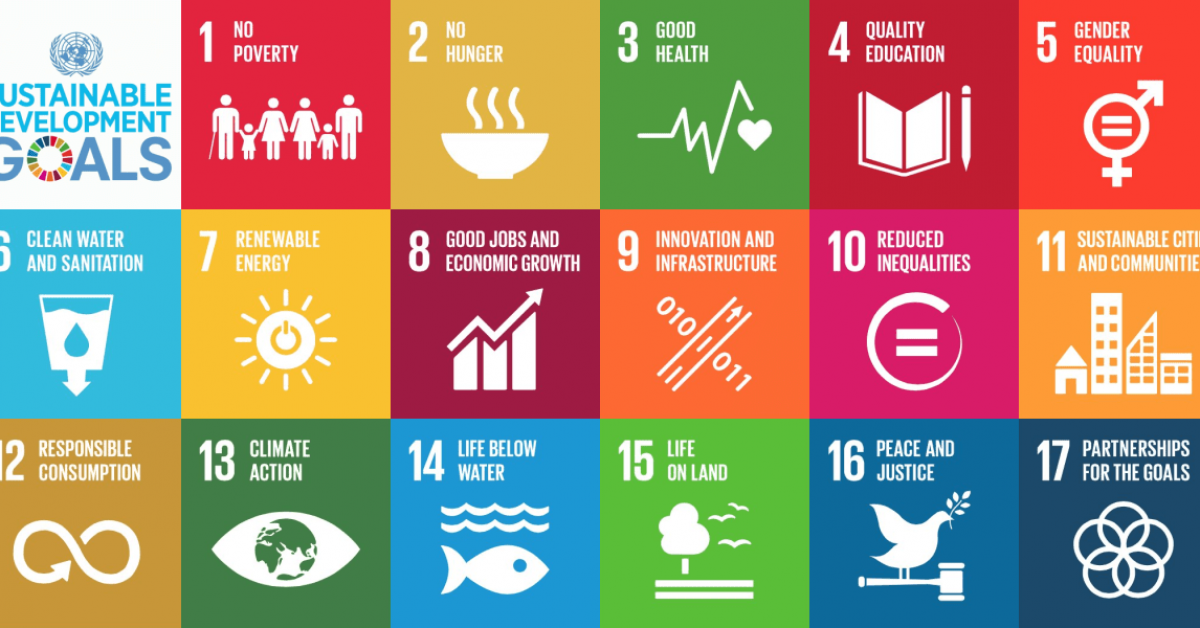United Nations Sustainable Development Goals - The Word Forest Organisation